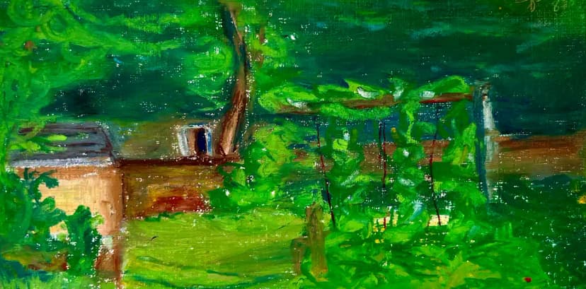 summer backyard from life