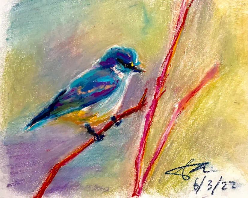 bird