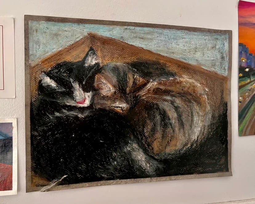 my cats